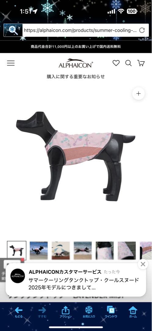 ALPHAICON アルファアイコン Mサイズ