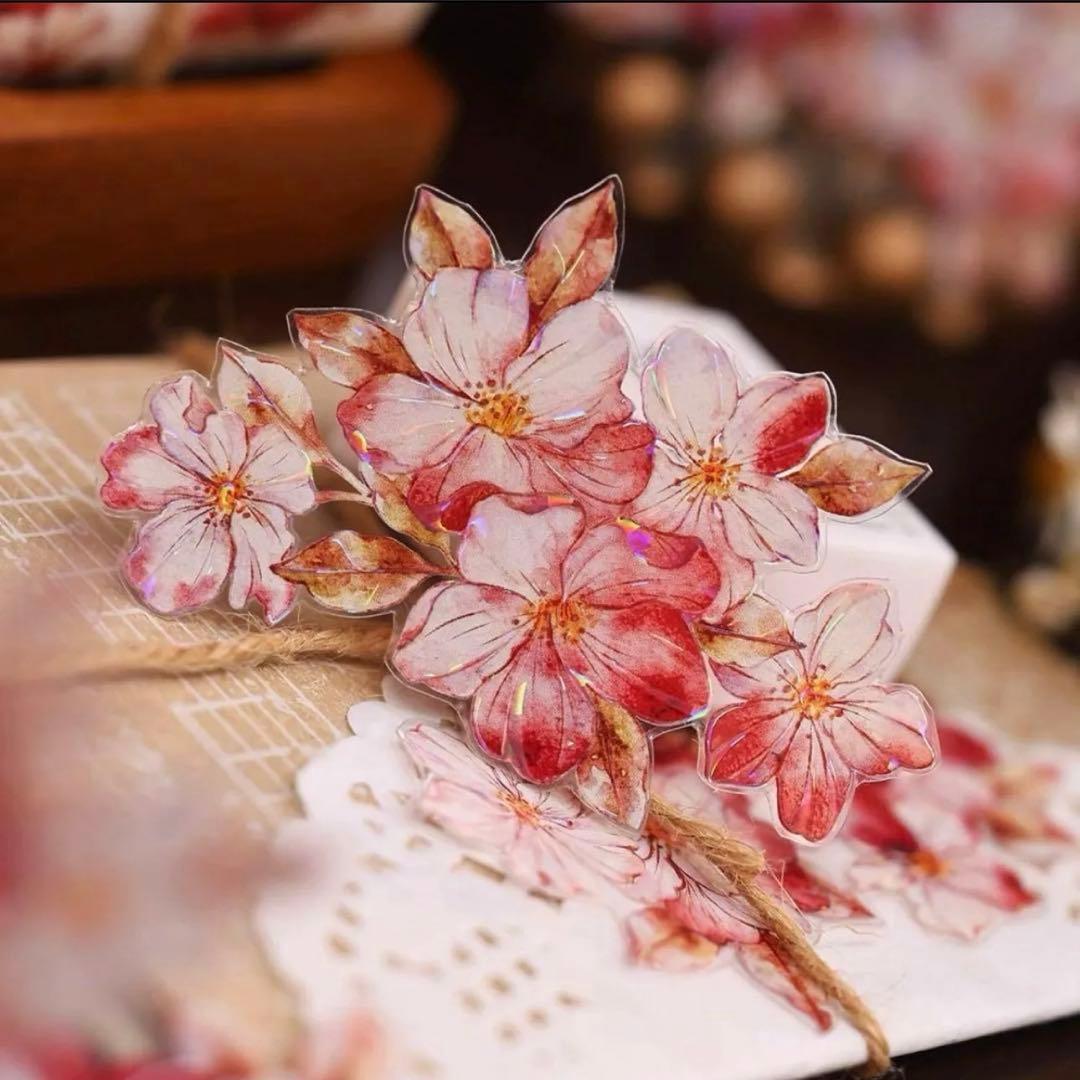 贝壳光 赤想思 5.5cm×6m 海外マスキングテープ海外マステ　花