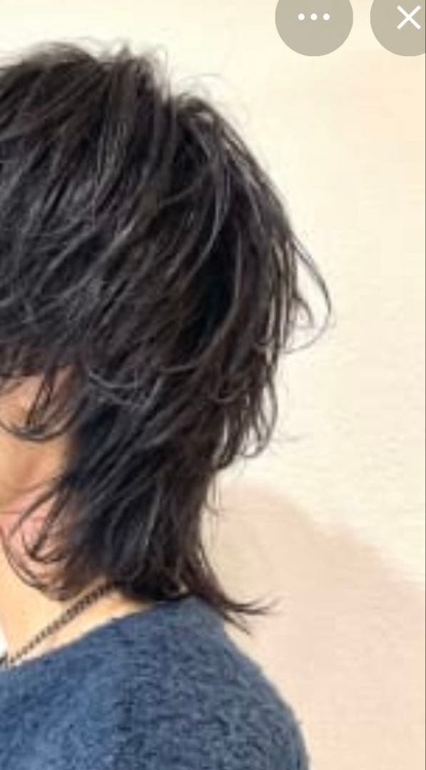 ウィッグ・エクステ Lico