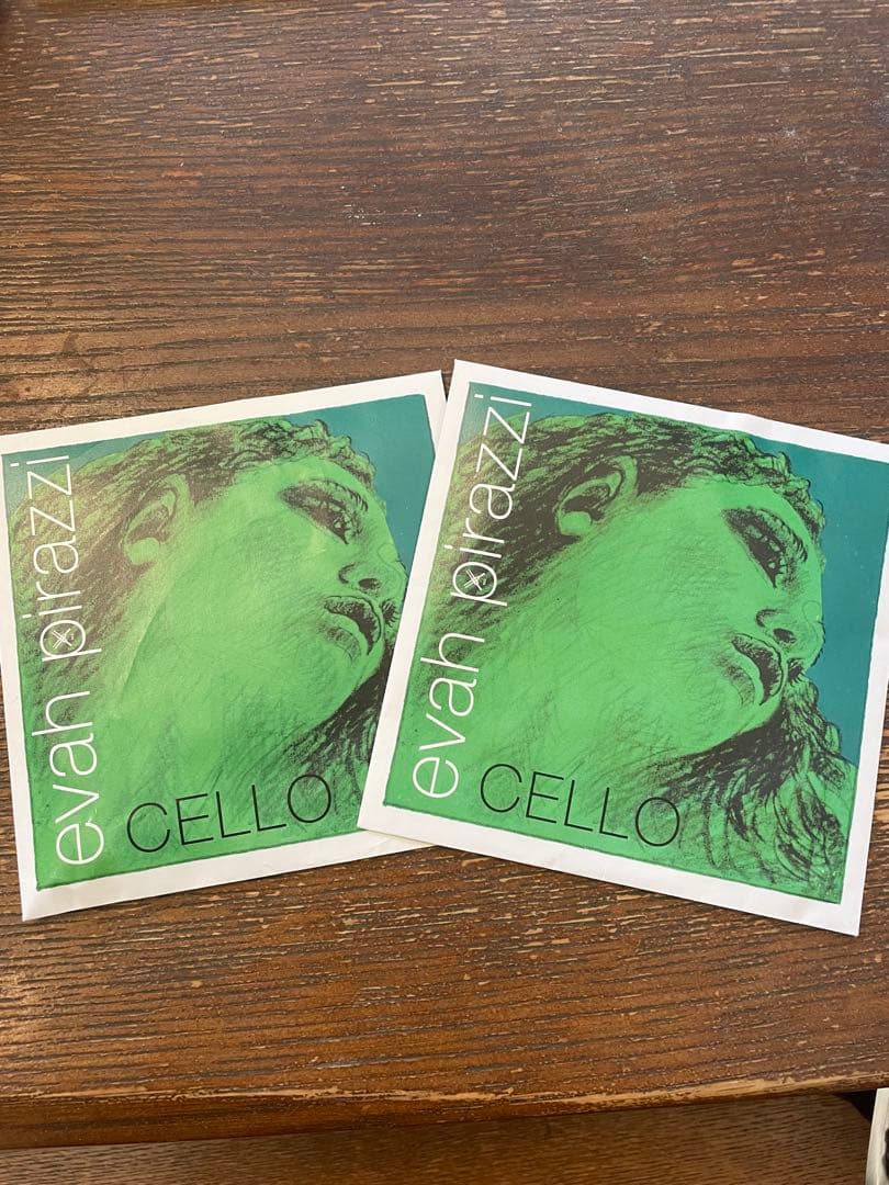 エヴァ•ピラッツィ　チェロ弦　A線Ｄ線