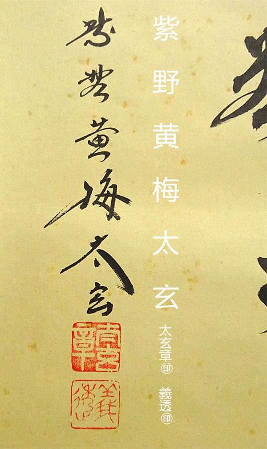 掛軸 大徳寺黄梅院小林太玄『横書き 書』紙本 共箱付 掛け軸 a01052