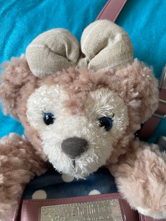 ディズニーシー　ダッフィー　シェリーメイ　ぬいぐるみ　ブランケット　膝掛け　新品