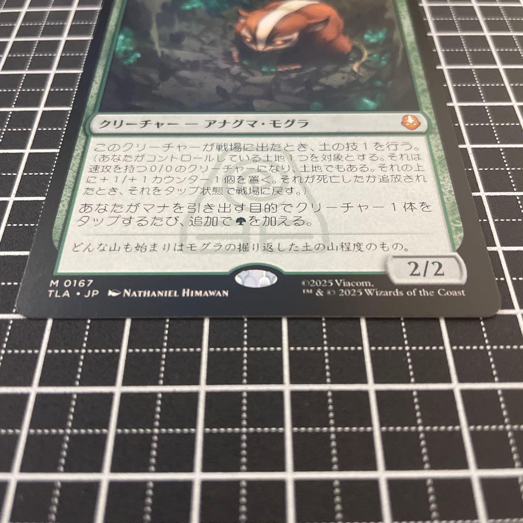 アナグマモグラの仔/Badgermole Cub