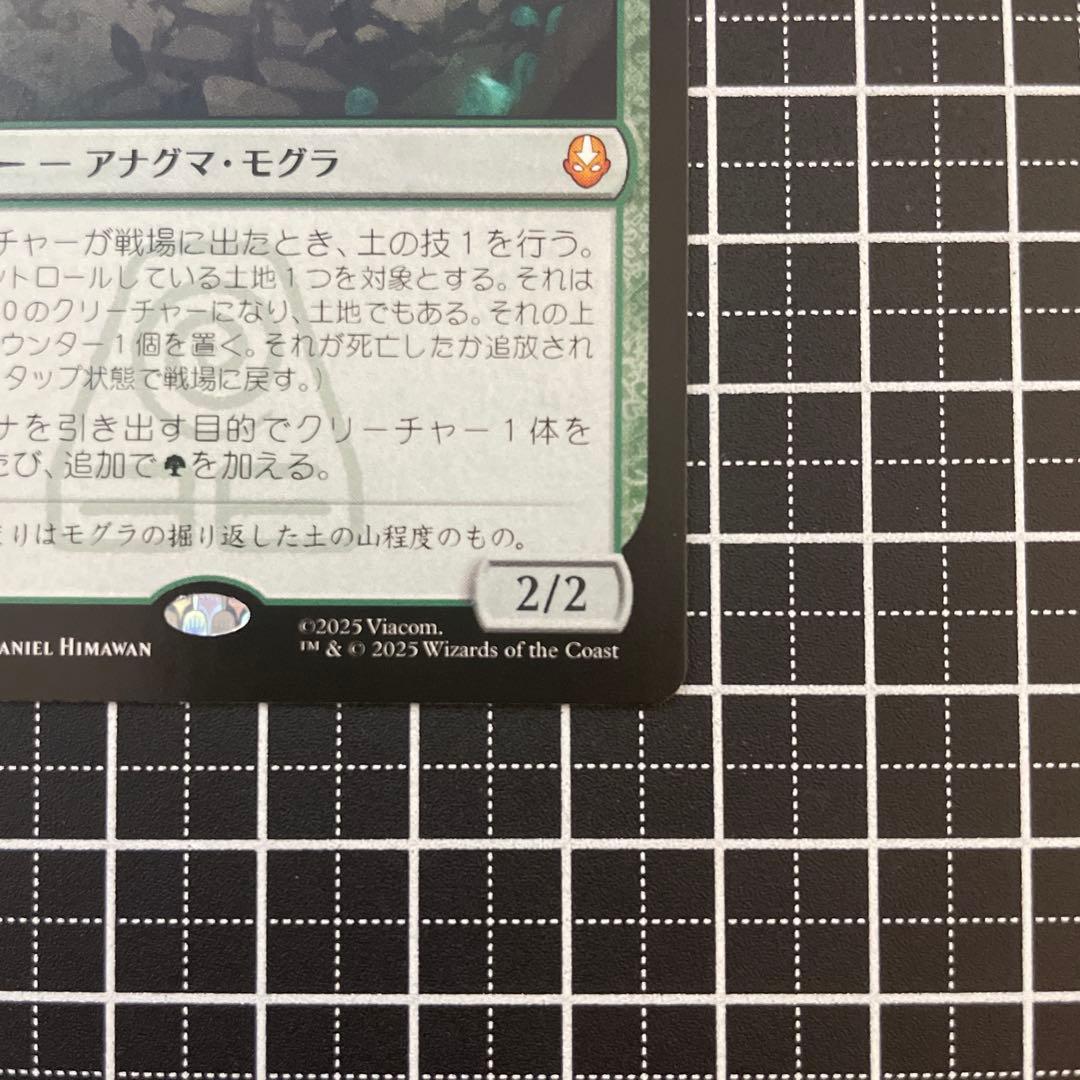 アナグマモグラの仔/Badgermole Cub