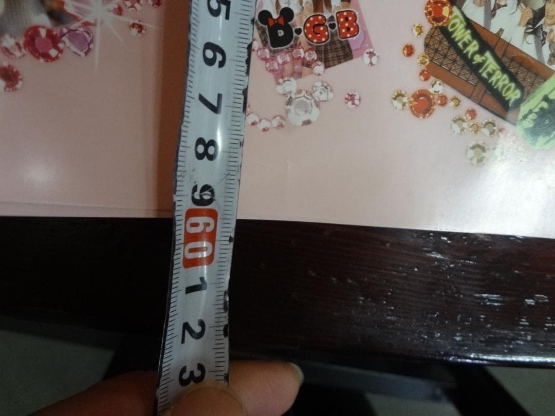 東京ディズニーリゾート「キャンパスデーパスポート」販促非売品ポスター