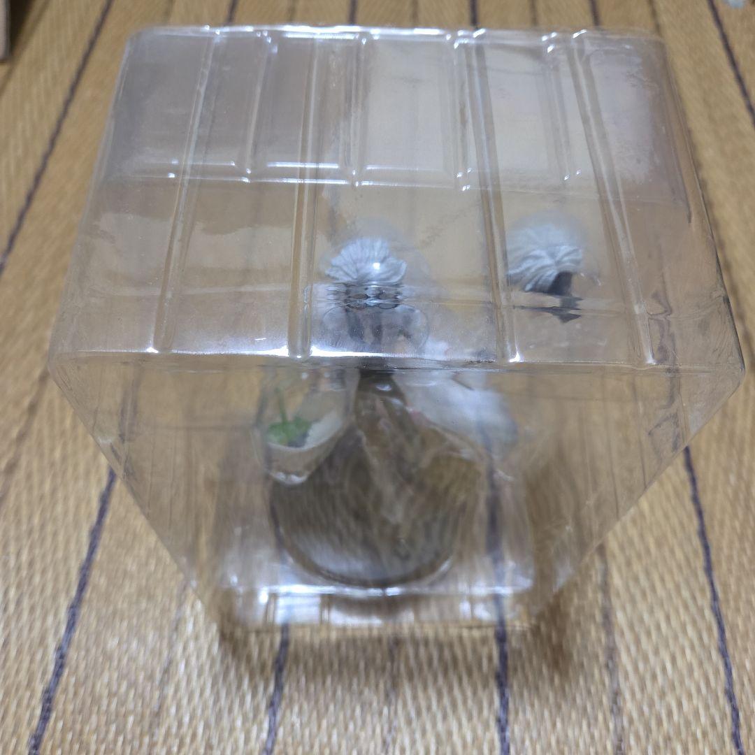 煮*し様 第五人格 納棺師