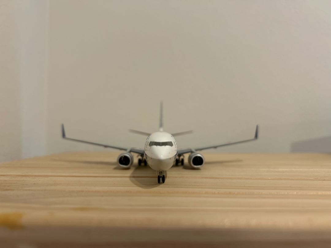 ANA 737-800 （1/200）