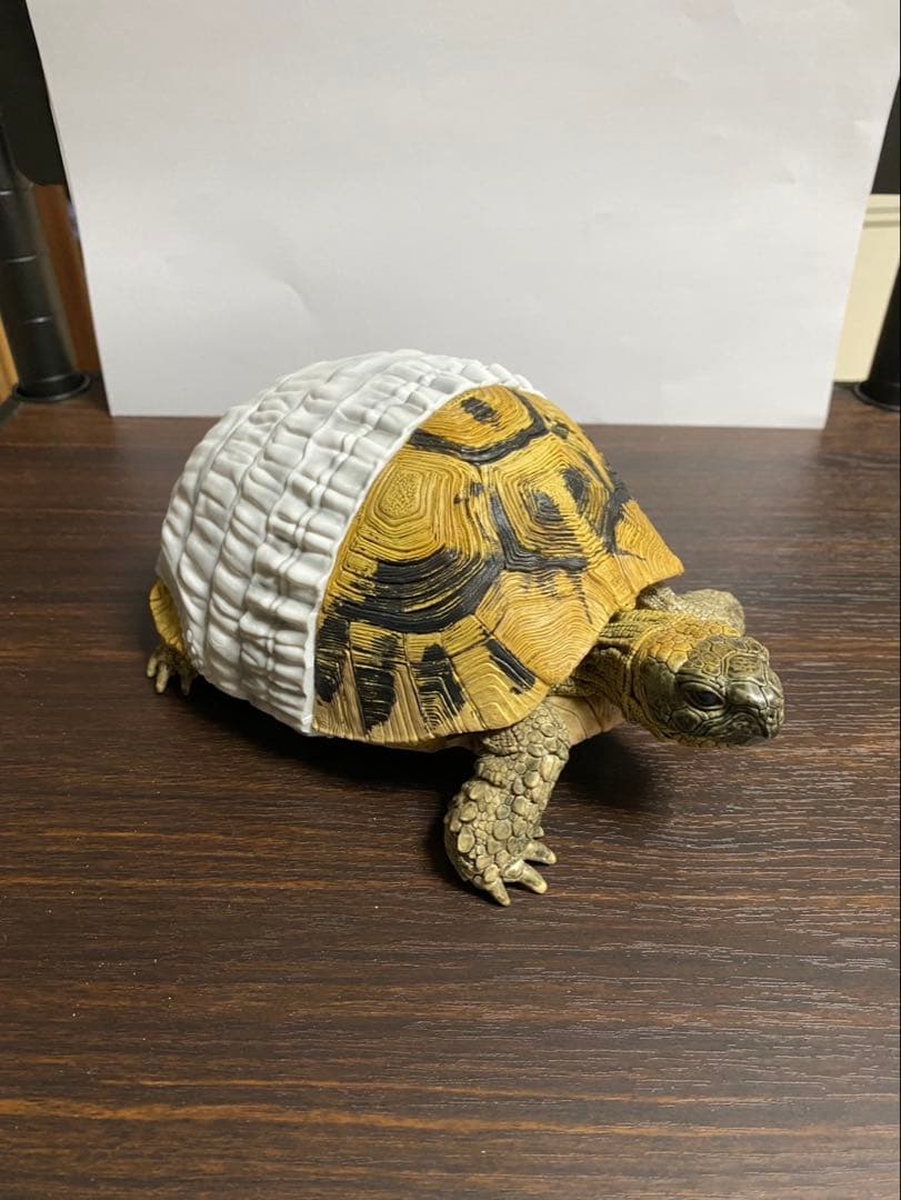 一番くじ 爬虫類＆両生類