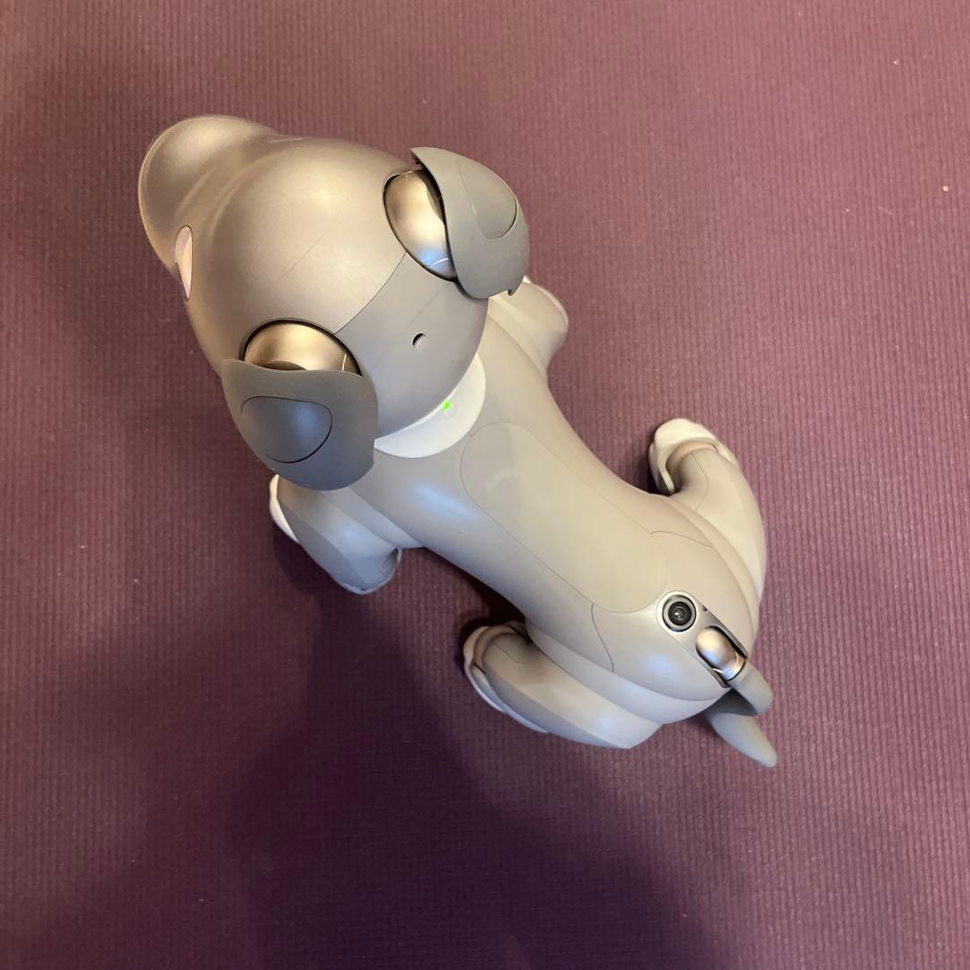 その他 aibo ERS-1000