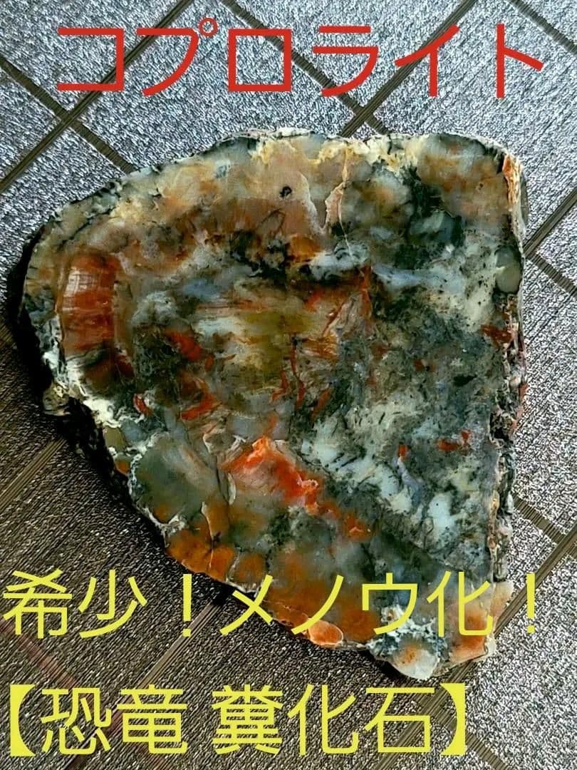 化石『恐竜の糞化石』コプロライト 希少 標本 稀石 生痕 草食恐竜 瑪瑙化 天然