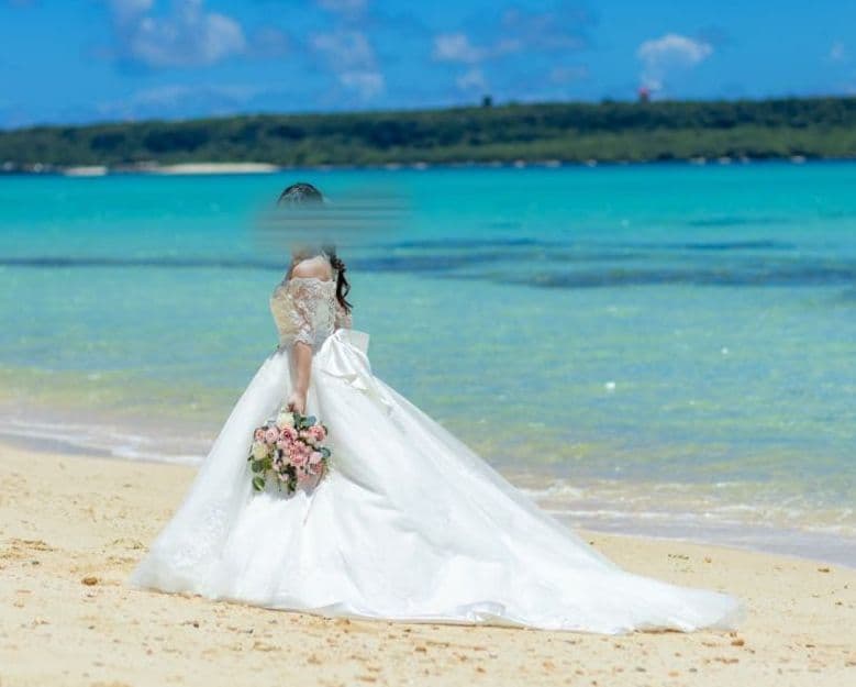 アールイズドレス　オーバースカート