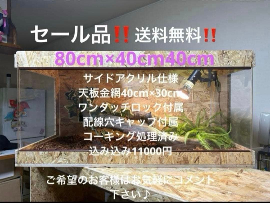 はいさい　804040お急ぎセール品