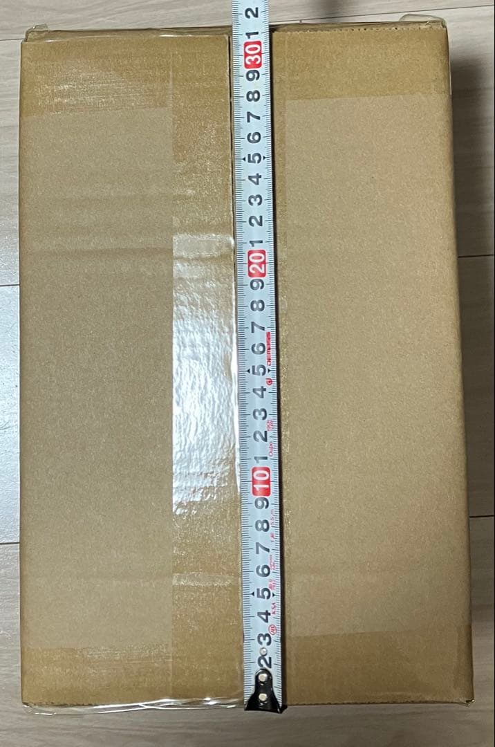 大怪獣シリーズ ウルトラマンアグル (V2) 限定版 少年リック