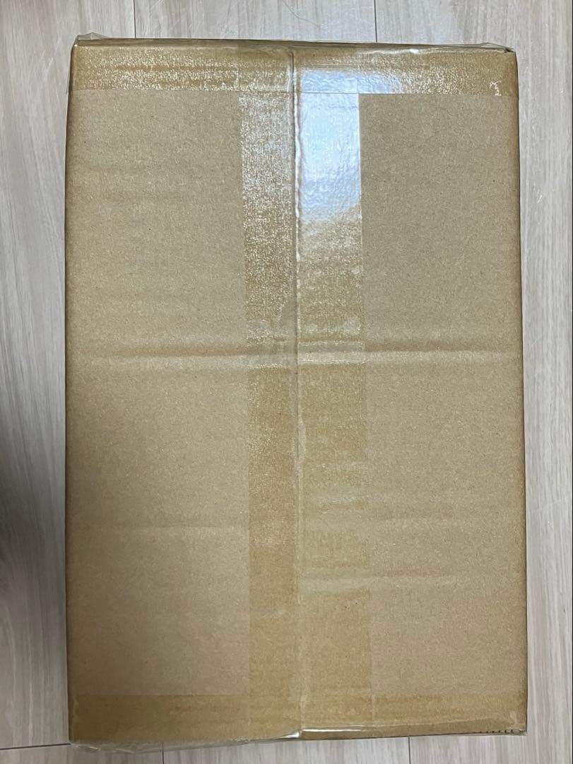 大怪獣シリーズ ウルトラマンアグル (V2) 限定版 少年リック