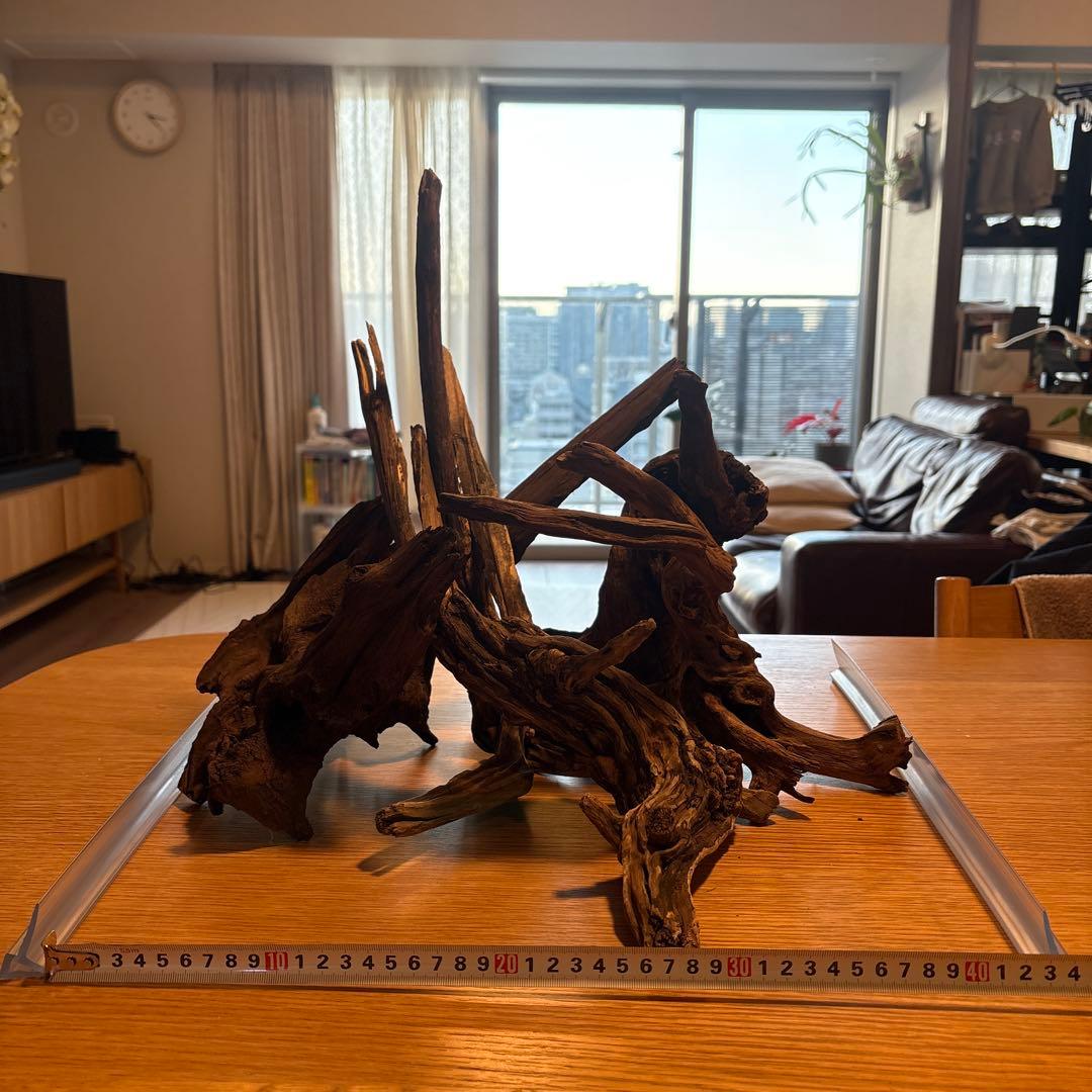 【早い者勝ち】ADA流木3本、他流木2本