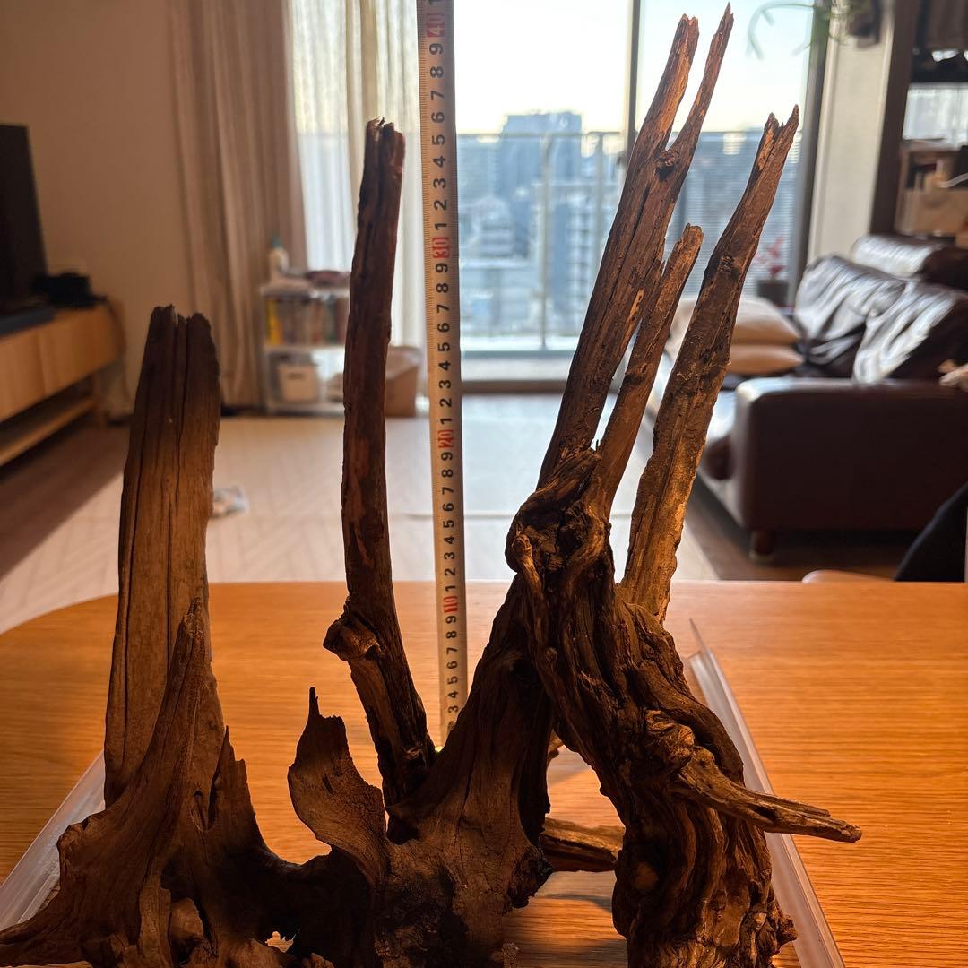 【早い者勝ち】ADA流木3本、他流木2本