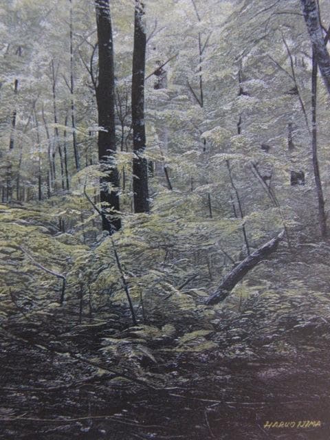 居島春生、【輝きはじめた森】、希少な額装用画集より、新品額装付