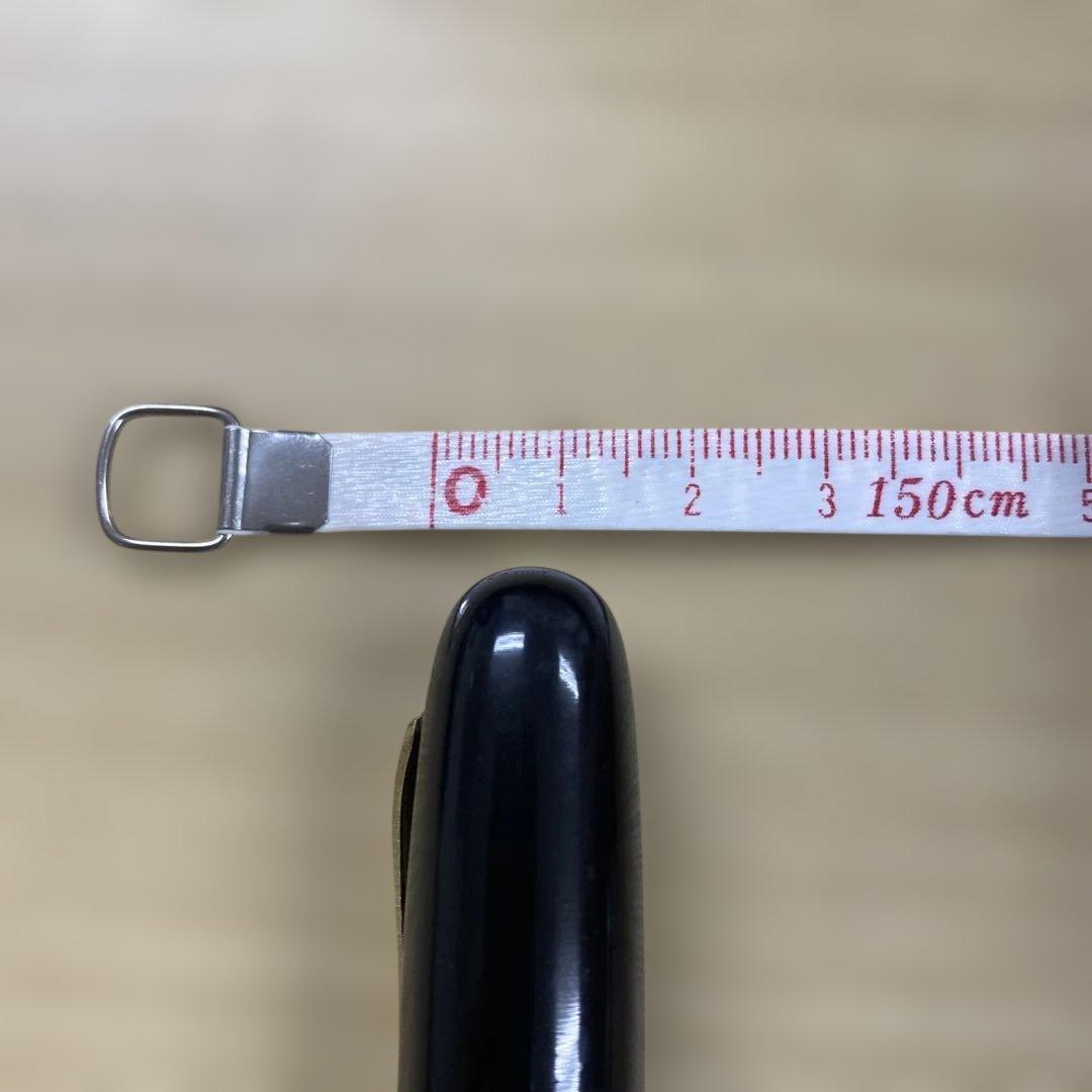 ヴィンテージ BELIEVE BEST IRIDOSUMIN刻印 万年筆