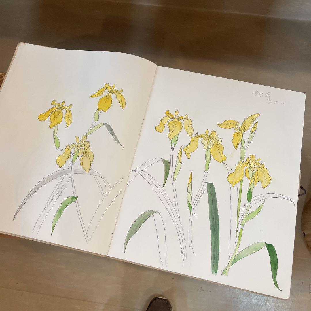 蔵石　河村大蔵　スケッチブック