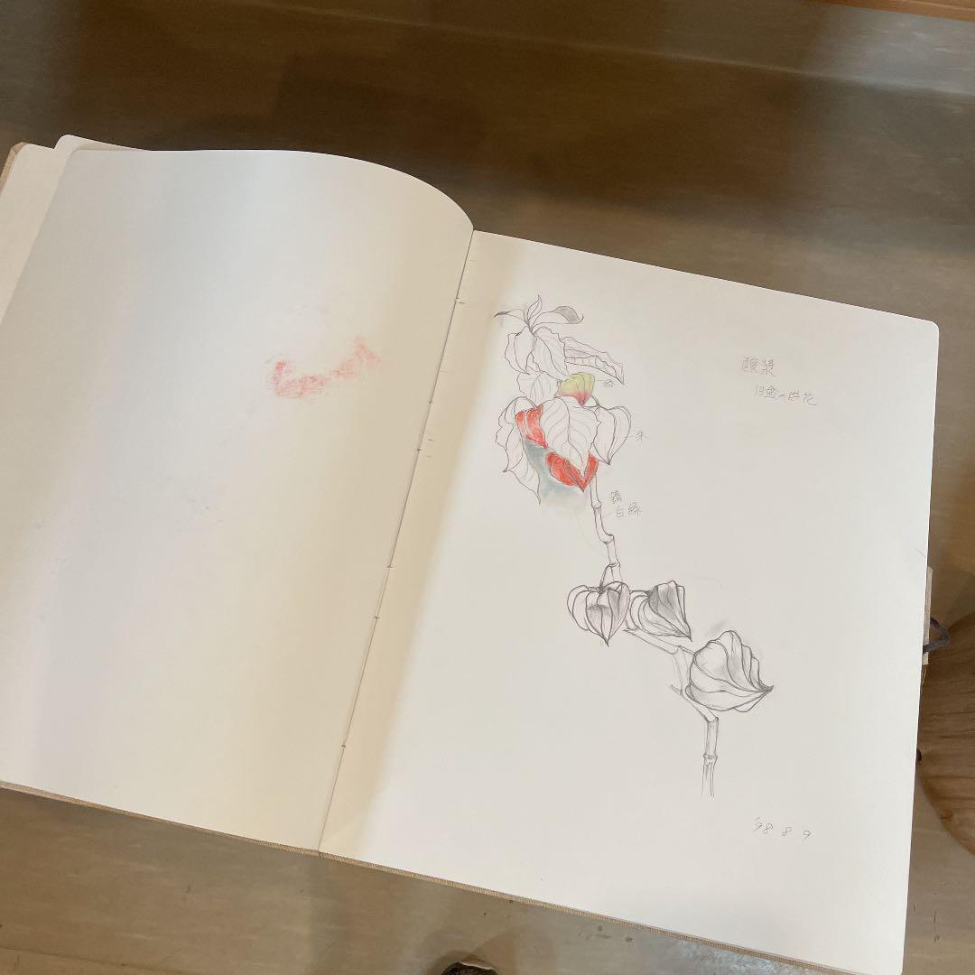 蔵石　河村大蔵　スケッチブック