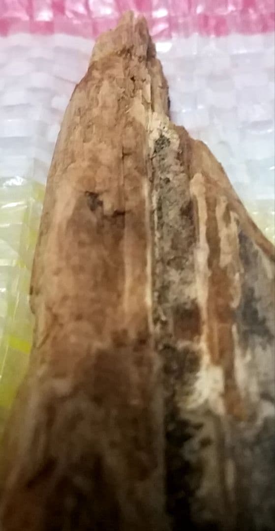 骨董品　天然　香木　伽羅原木　沈香　フィリピン