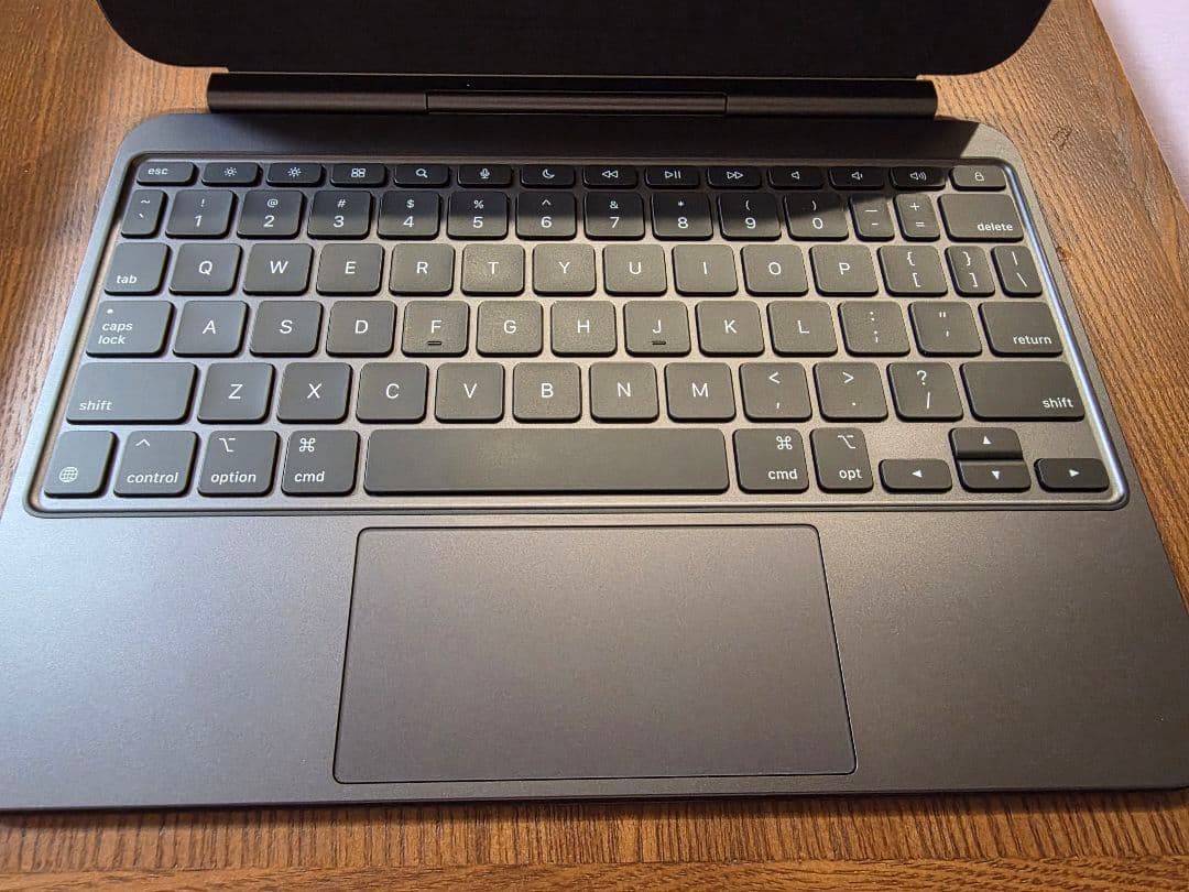 Apple M4 iPad Pro 11インチ スペースグレー ケースセット