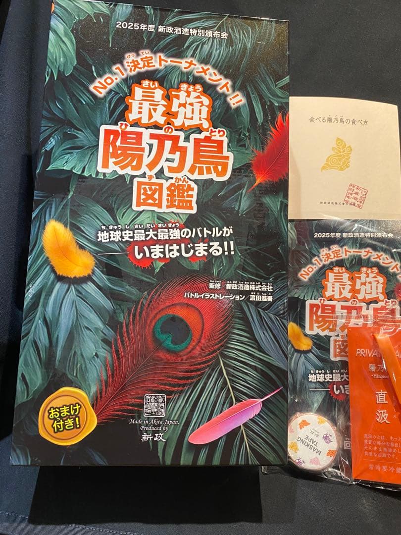 新政頒布会　2025陽乃鳥