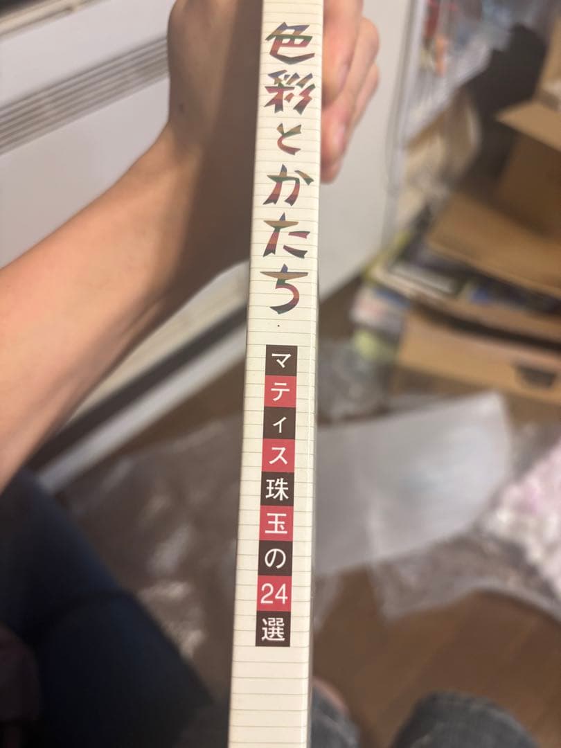 色彩と形 マティス珠玉の24選