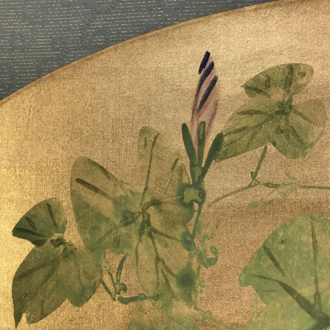 真作/庄田鶴友/朝顔図/花図/夏の花図/夏の掛軸/扇面/掛軸☆宝船☆AH-808