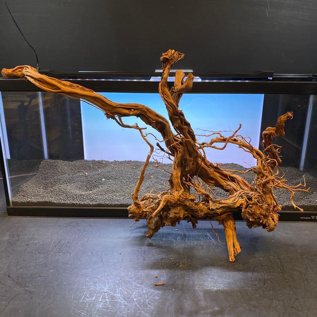 MTW-6356 蔦流木1点物　90cm水槽用流木　アクアリウム