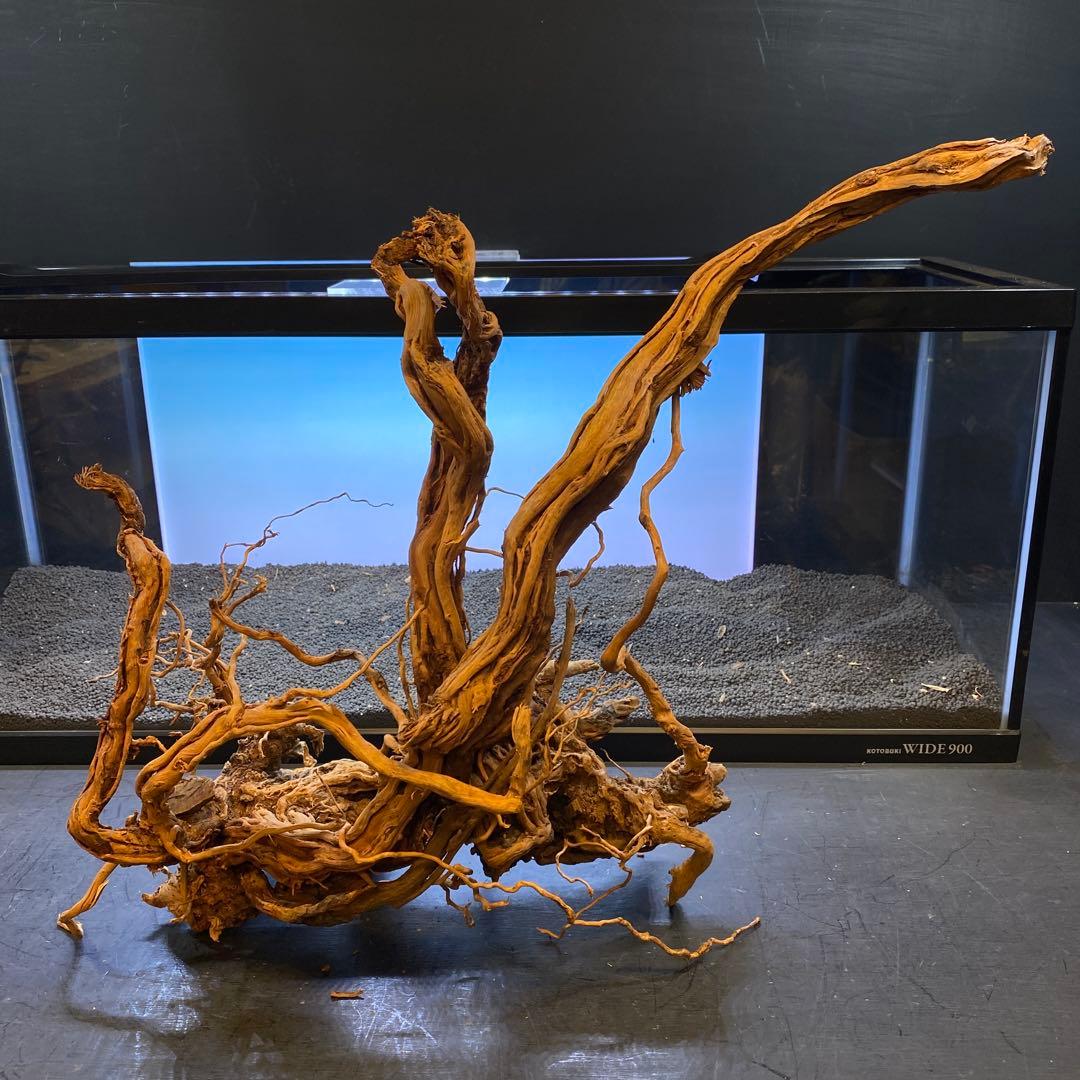 MTW-6356 蔦流木1点物　90cm水槽用流木　アクアリウム