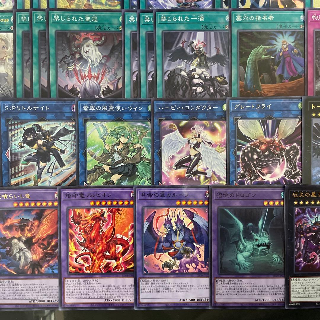 大会優勝構築 絢嵐デッキ トーテムバード 禁じられた聖冠 黒き竜のエクレシア