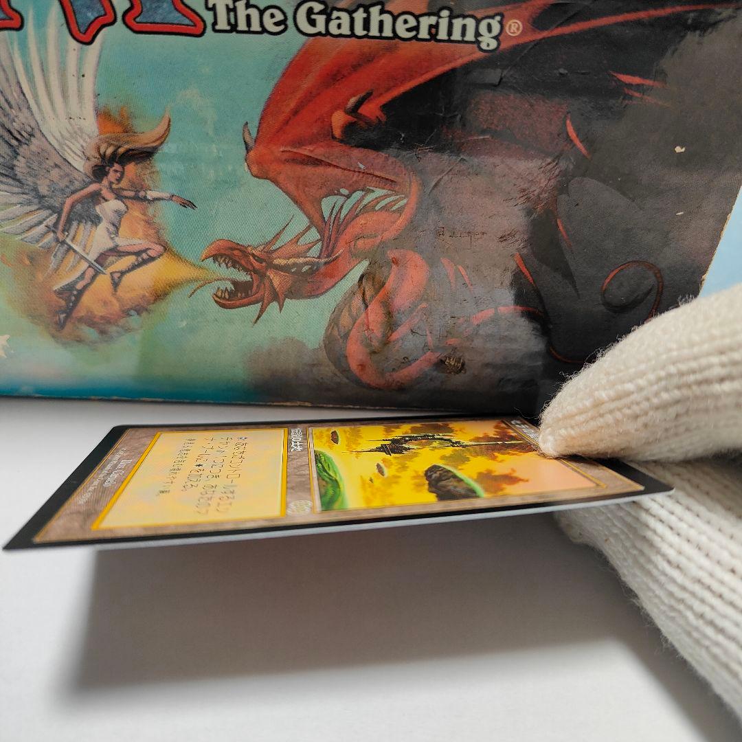 セラの聖域 伝説の土地 マジック　ザ・ギャザリング