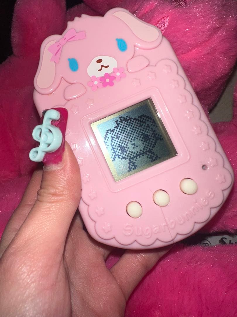 激レア！Sugarbunnies シュガーバニーズ はなうさ