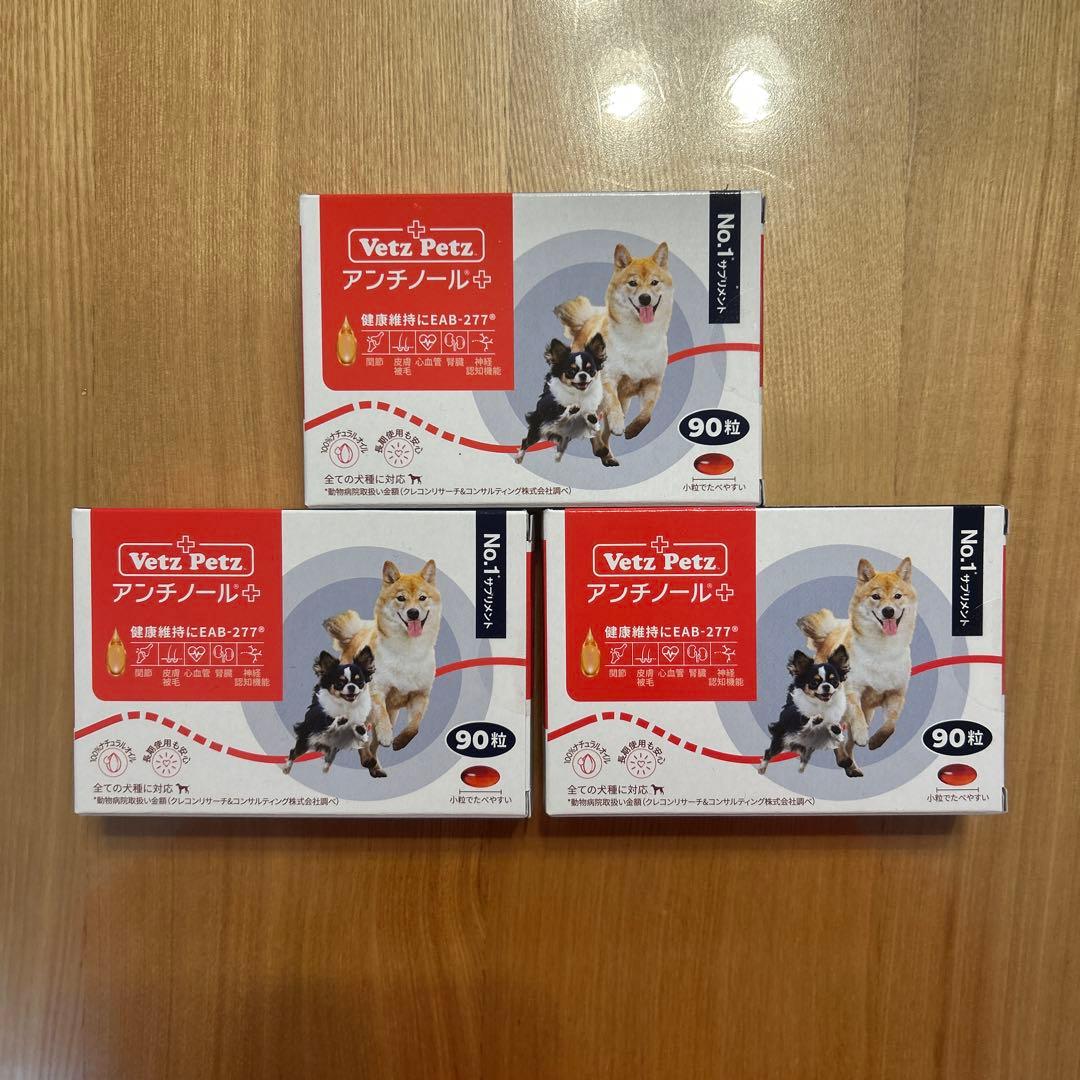 アンチノール＋　90粒