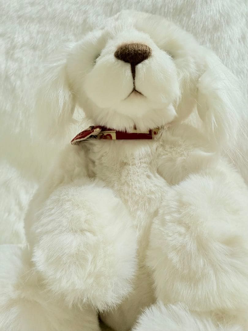 ☆ポンコポンコ☆ ☆チャーリーベアーズ☆ Spirit ☆美品♪