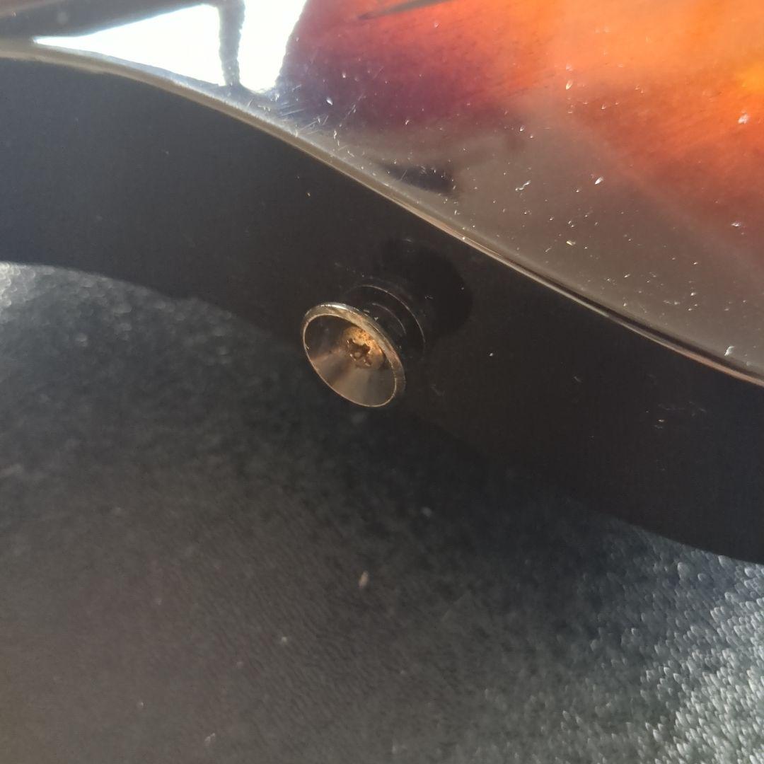 ベース Orville Thunder Bird