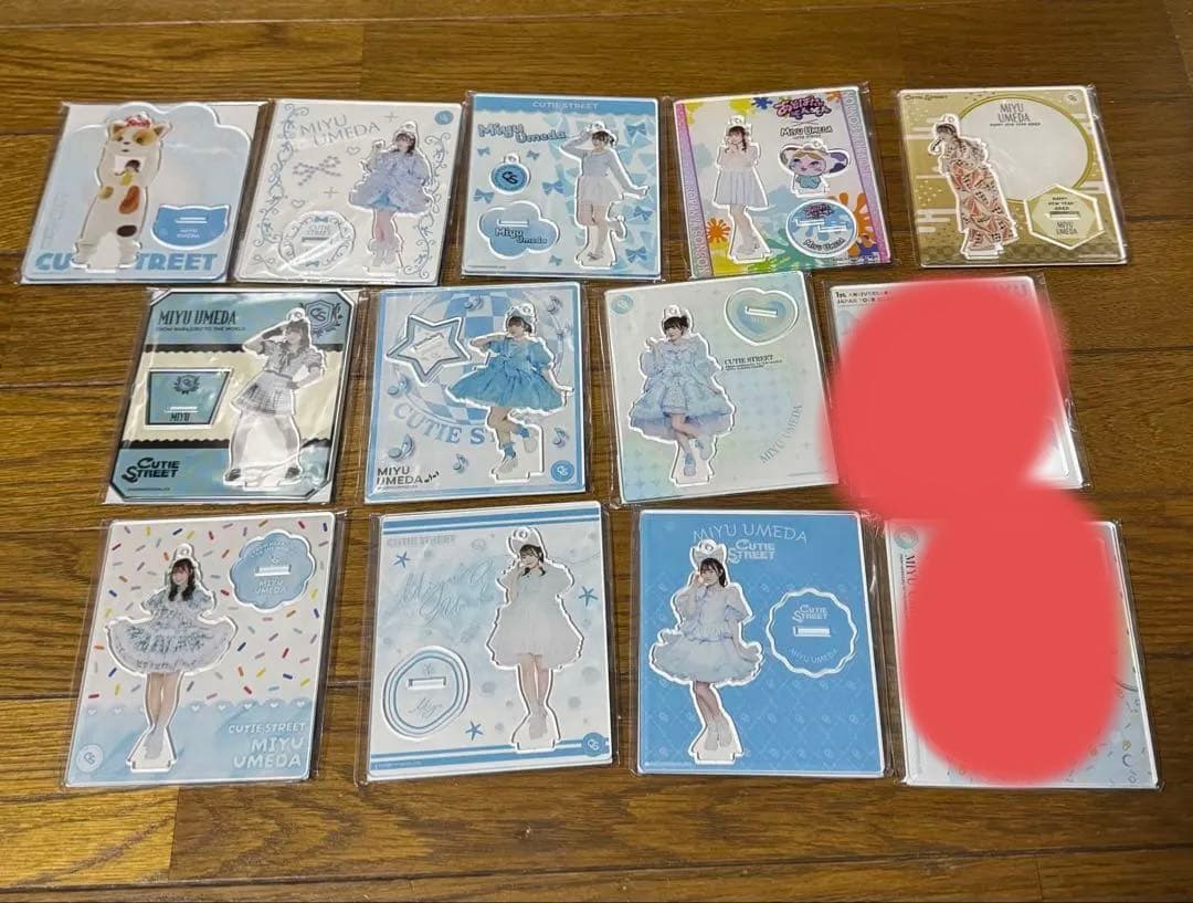 梅田みゆアクリルスタンド 13点セット