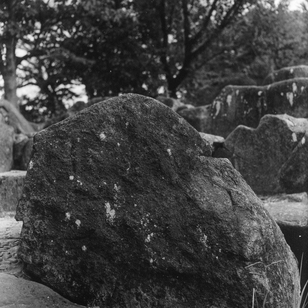 【作例あり】動作品　Minolta Autocord　二眼レフ