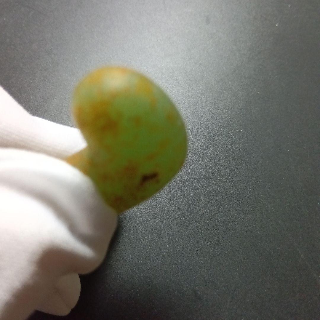 翡翠勾玉大和王権古墳時代 勾玉 コの字勾玉 美麗勾玉 頸飾り勾玉