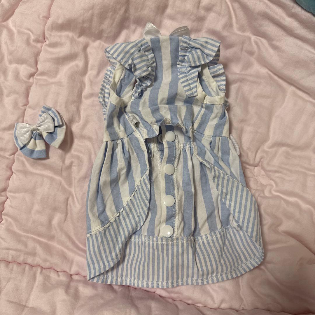 ピコネ　ペット服 水色ストライプドレスとリボン