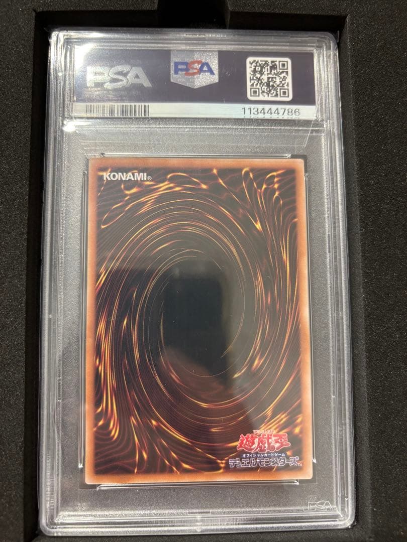 遊戯王OCG ブラックマジシャンガール 25th 特別版 イラスト違い