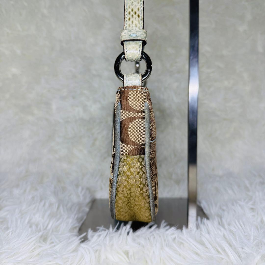 希少 COACH コーチ アクセサリーポーチ エキゾチック ハンドバッグ