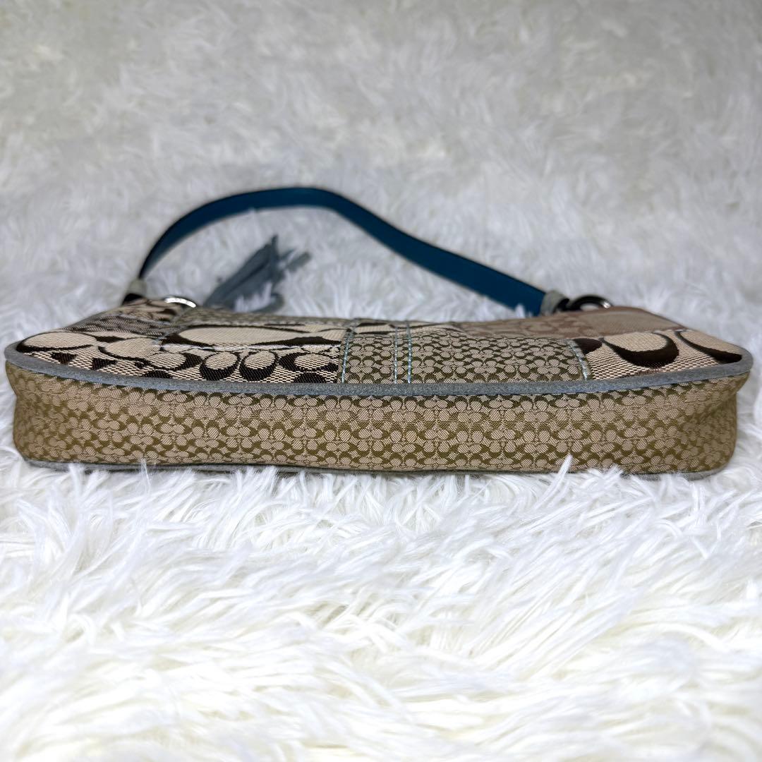 希少 COACH コーチ アクセサリーポーチ エキゾチック ハンドバッグ