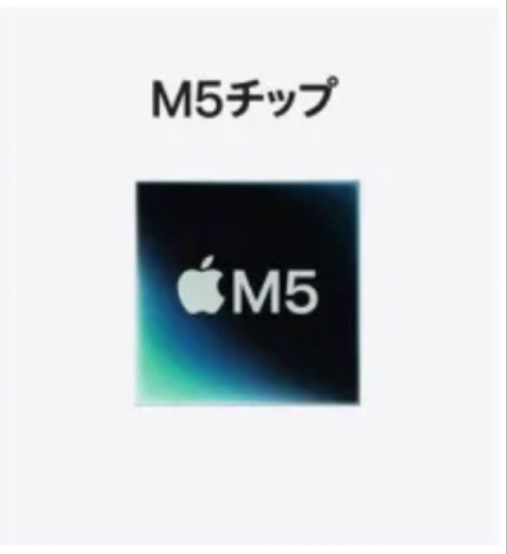 iPad Pro M5 11インチWi-Fiモデル 256GB スペースブラック