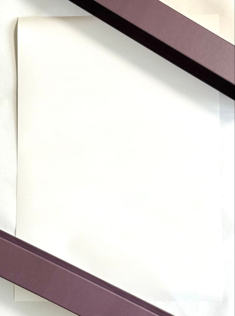 straykids スキズ SKZOO パピーム スンミン 直筆サイン ポスター