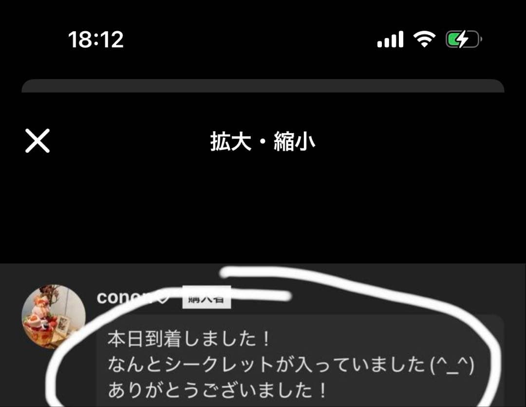 正規品　LABUBU らぶぶ　未開封　ぬいぐるみ