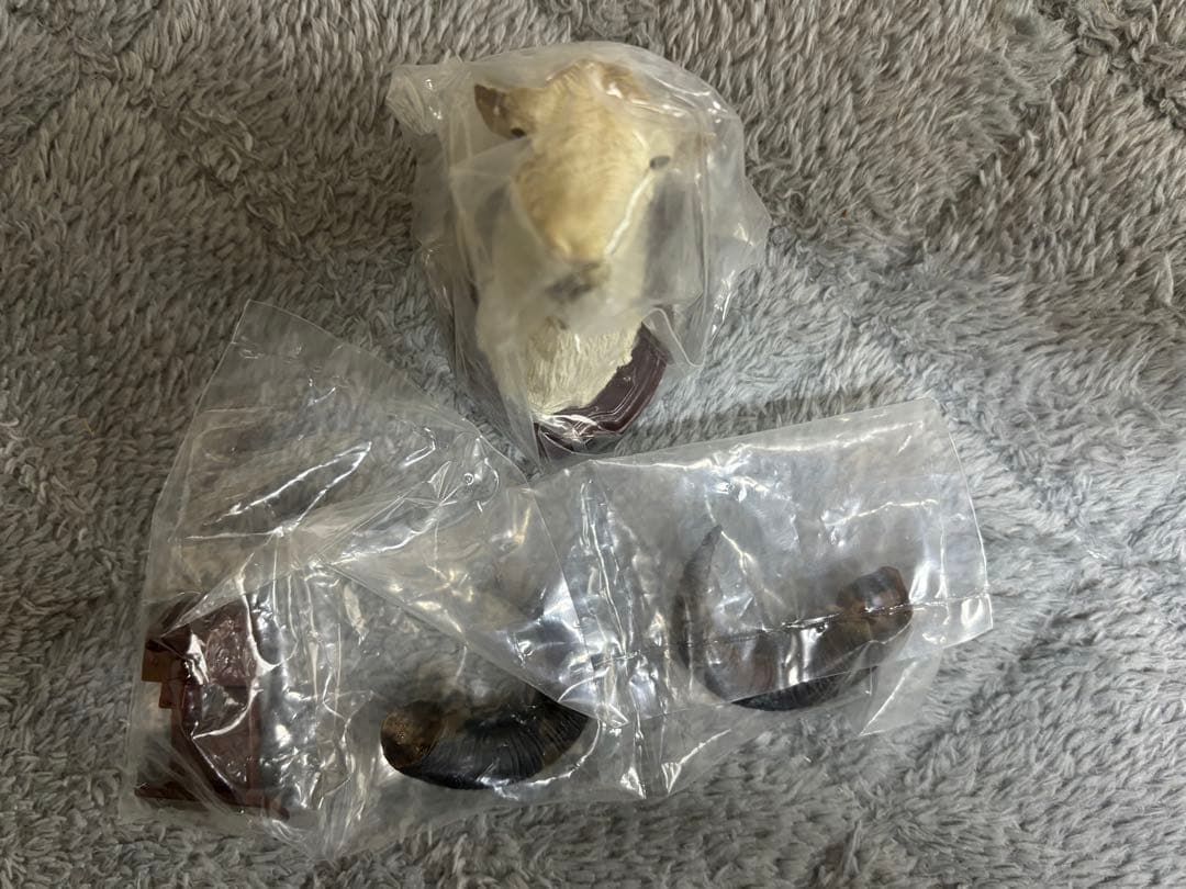 ハンティングトロフィー　シークレット　エゾシカ　ヘラジカ　ドールシープ　骨格標本