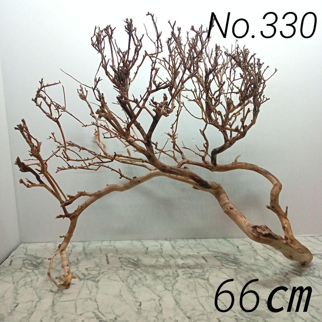 アク抜き済み流木【330】