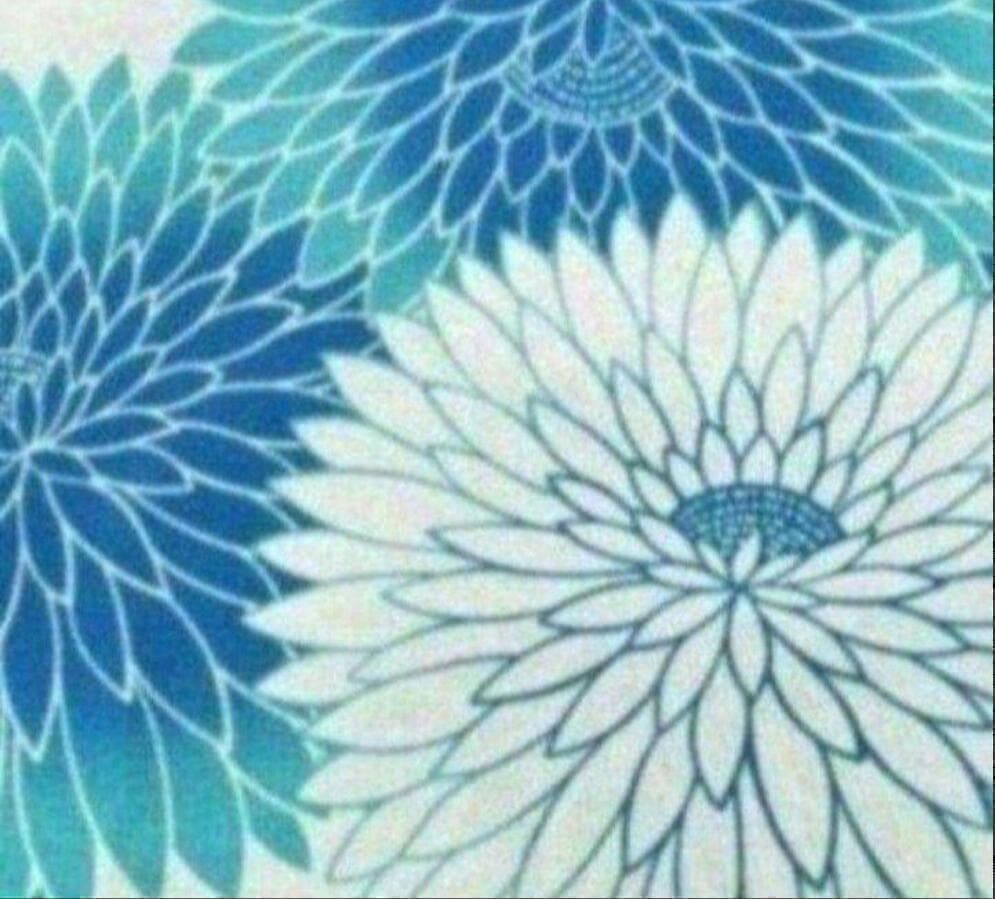 【雑誌掲載】上品高貴な丸菊づくし涼し流水色浴衣◆新品　呉服店購入 大正ロマン